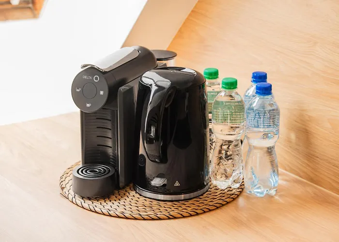 Raciborska Old Town 3* 글리비체